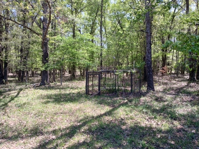 158± Acre Multi-Use Ranch & Hunting Property Near Antlers, OK - image 19