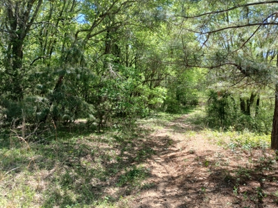 158± Acre Multi-Use Ranch & Hunting Property Near Antlers, OK - image 14