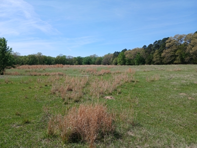 158± Acre Multi-Use Ranch & Hunting Property Near Antlers, OK - image 27