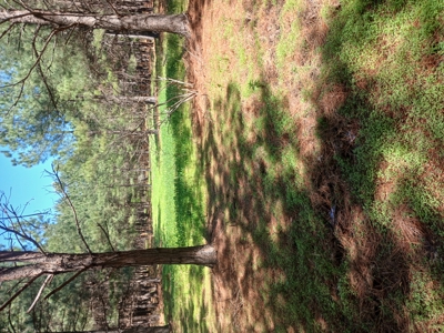158± Acre Multi-Use Ranch & Hunting Property Near Antlers, OK - image 42