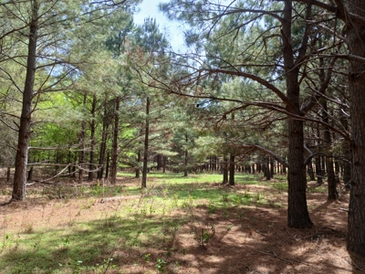 158± Acre Multi-Use Ranch & Hunting Property Near Antlers, OK - image 34