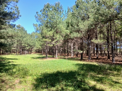 158± Acre Multi-Use Ranch & Hunting Property Near Antlers, OK - image 9