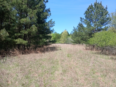158± Acre Multi-Use Ranch & Hunting Property Near Antlers, OK - image 21