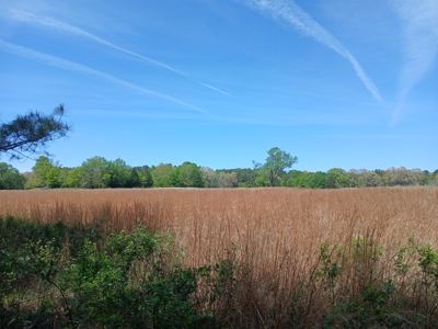 158± Acre Multi-Use Ranch & Hunting Property Near Antlers, OK - image 26