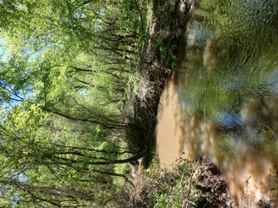 158± Acre Multi-Use Ranch & Hunting Property Near Antlers, OK - image 4