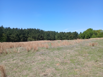 158± Acre Multi-Use Ranch & Hunting Property Near Antlers, OK - image 10