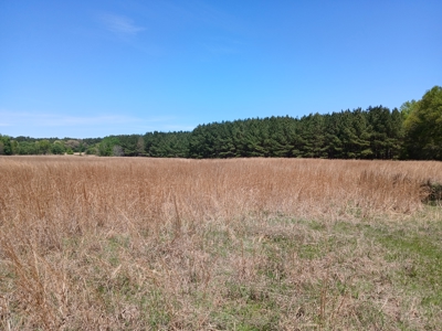 158± Acre Multi-Use Ranch & Hunting Property Near Antlers, OK - image 18