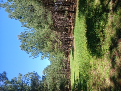 158± Acre Multi-Use Ranch & Hunting Property Near Antlers, OK - image 3