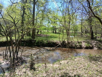 158± Acre Multi-Use Ranch & Hunting Property Near Antlers, OK - image 8