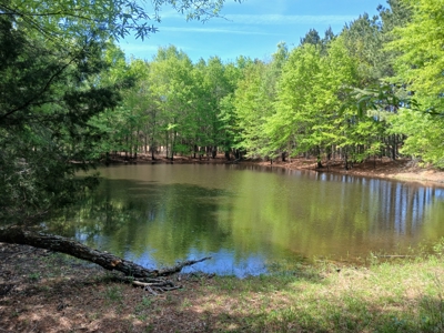 158± Acre Multi-Use Ranch & Hunting Property Near Antlers, OK - image 2