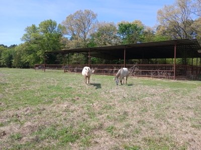 158± Acre Multi-Use Ranch & Hunting Property Near Antlers, OK - image 39