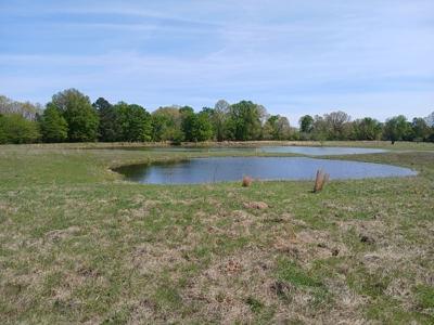 158± Acre Multi-Use Ranch & Hunting Property Near Antlers, OK - image 41