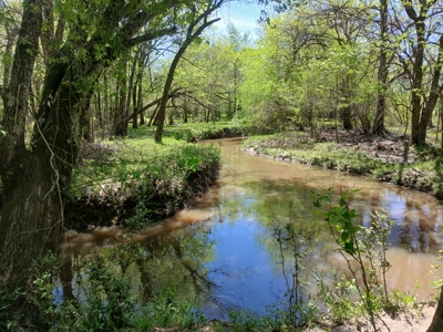 158± Acre Multi-Use Ranch & Hunting Property Near Antlers, OK - image 5