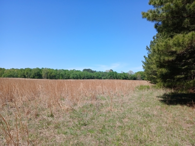 158± Acre Multi-Use Ranch & Hunting Property Near Antlers, OK - image 11