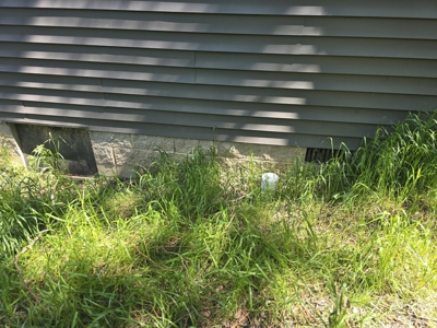 Affordable lake-area retreat with income potential - image 4