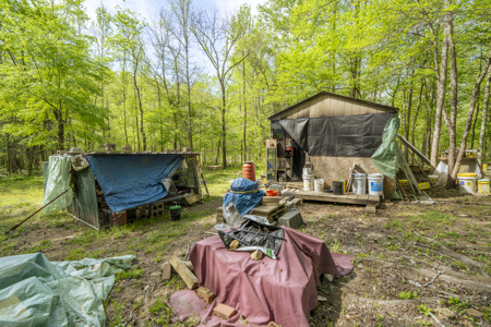 Large Recreational Tract for Sale in Linden, TN - image 16