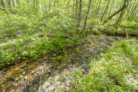 Large Recreational Tract for Sale in Linden, TN - image 25