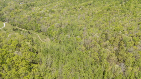 Large Recreational Tract for Sale in Linden, TN - image 31