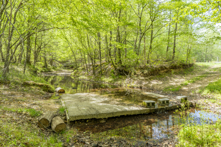 Large Recreational Tract for Sale in Linden, TN - image 11