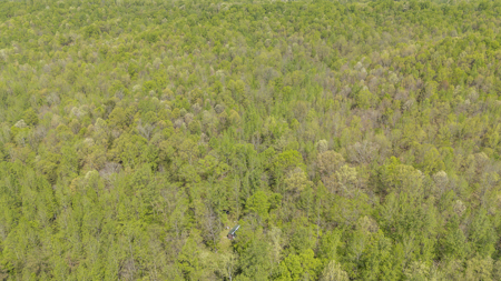 Large Recreational Tract for Sale in Linden, TN - image 33