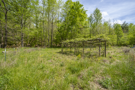 Large Recreational Tract for Sale in Linden, TN - image 10