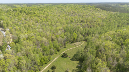 Large Recreational Tract for Sale in Linden, TN - image 2