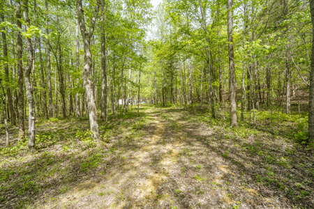 Large Recreational Tract for Sale in Linden, TN - image 14