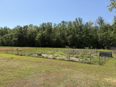 Private Country Home For Sale In Tn 35 Ac Shop Creek Fields - image 4