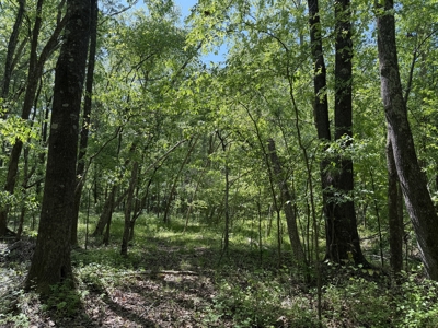 Private Country Home For Sale In Tn 35 Ac Shop Creek Fields - image 44