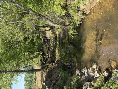 Private Country Home For Sale In Tn 35 Ac Shop Creek Fields - image 7