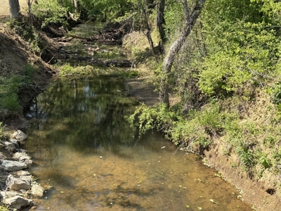 Private Country Home For Sale In Tn 35 Ac Shop Creek Fields - image 8