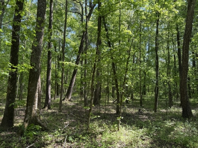 Private Country Home For Sale In Tn 35 Ac Shop Creek Fields - image 45