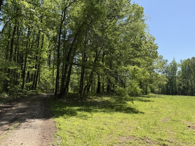 Private Country Home For Sale In Tn 35 Ac Shop Creek Fields - image 47