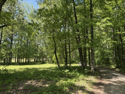 Private Country Home For Sale In Tn 35 Ac Shop Creek Fields - image 46