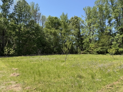 Private Country Home For Sale In Tn 35 Ac Shop Creek Fields - image 34