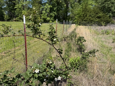 Private Country Home For Sale In Tn 35 Ac Shop Creek Fields - image 32