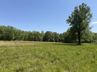 Private Country Home For Sale In Tn 35 Ac Shop Creek Fields - image 38