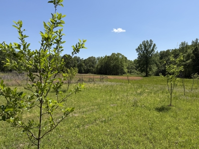 Private Country Home For Sale In Tn 35 Ac Shop Creek Fields - image 33