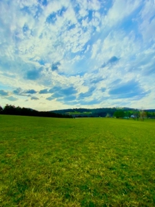 Waterfront Acreage on Table Rock Lake Near Branson, MO - image 35