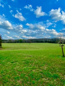 Waterfront Acreage on Table Rock Lake Near Branson, MO - image 20