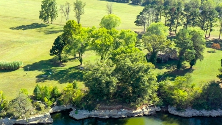 Waterfront Acreage on Table Rock Lake Near Branson, MO - image 29
