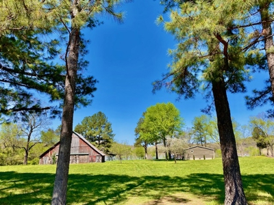 Waterfront Acreage on Table Rock Lake Near Branson, MO - image 12