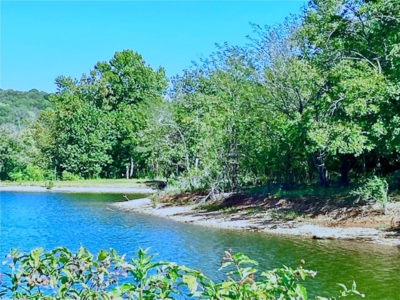 Waterfront Acreage on Table Rock Lake Near Branson, MO - image 18