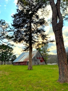 Waterfront Acreage on Table Rock Lake Near Branson, MO - image 14