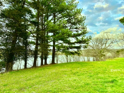 Waterfront Acreage on Table Rock Lake Near Branson, MO - image 2