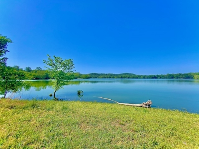 Waterfront Acreage on Table Rock Lake Near Branson, MO - image 25
