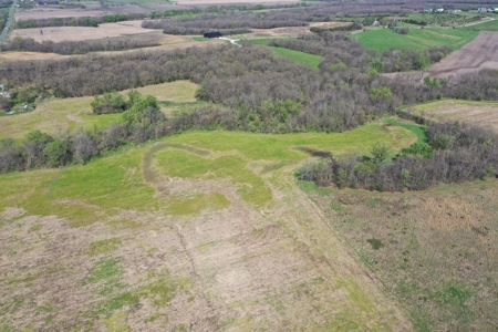 Hunting, Row Crop & CRP near Eagleville, MO - image 7