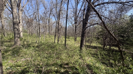 Hunting, Row Crop & CRP near Eagleville, MO - image 26