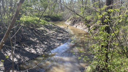 Hunting, Row Crop & CRP near Eagleville, MO - image 35