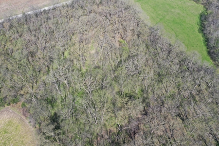 Hunting, Row Crop & CRP near Eagleville, MO - image 13